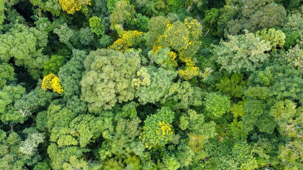 Les conséquences sociétales de la discrimination