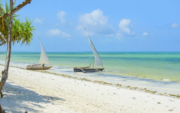 Venez explorer la cuisine et la voile à zanzibar