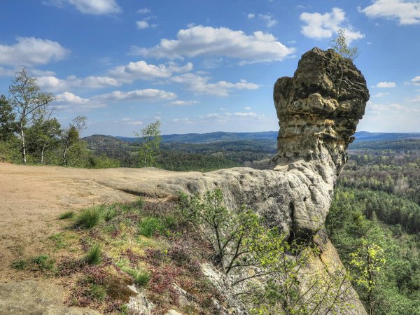 Libérez votre potentiel avec la formation go high level